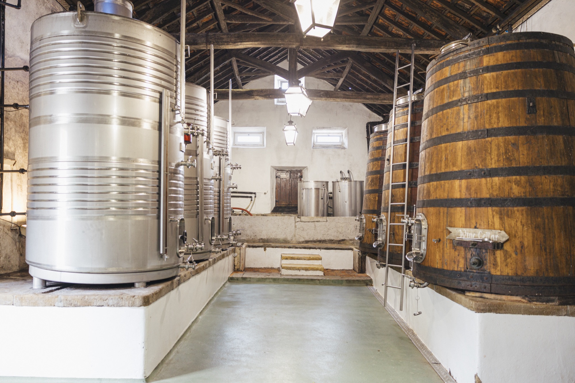 Wine barrels and tanks in a traditional winery