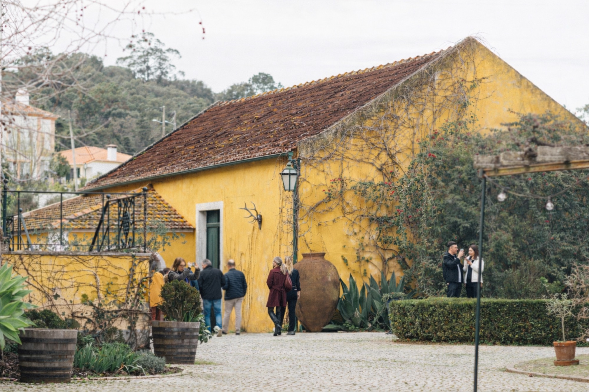 Yellow winery in Portugal where the wine blending took place