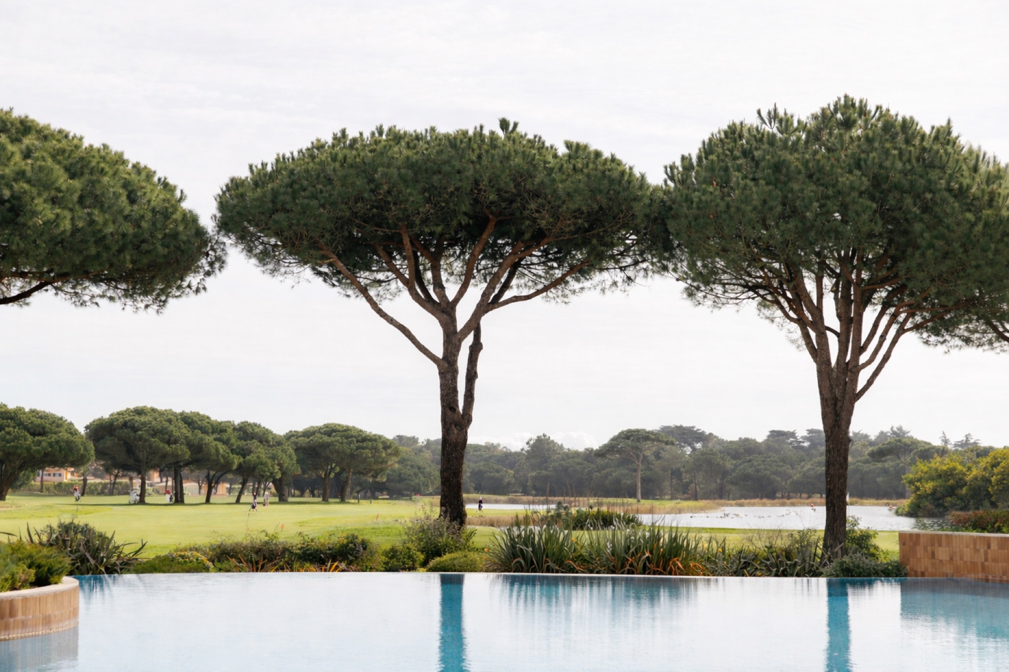 Pool among the pine trees of a golf resort in Portugal